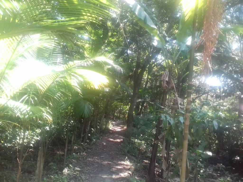 Recanto Da Kaka メーウ島 エクステリア 写真